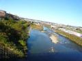 fukuroihamamatsu0006.jpg
