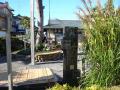 fukuroihamamatsu0009.jpg