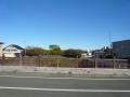 fukuroihamamatsu0027.jpg