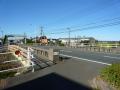 fukuroihamamatsu0034.jpg