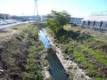 fukuroihamamatsu0035.jpg