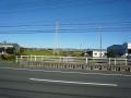 fukuroihamamatsu0036.jpg