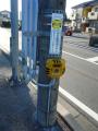 fukuroihamamatsu0149.jpg