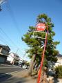 fukuroihamamatsu0150.jpg