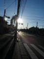 fukuroihamamatsu0155.jpg