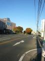 fukuroihamamatsu0156.jpg