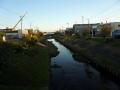 fukuroihamamatsu0160.jpg