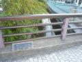 fukuroihamamatsu0163.jpg