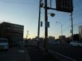 fukuroihamamatsu0165.jpg