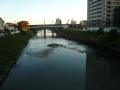 fukuroihamamatsu0166.jpg