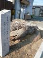 futagawaokazaki0012.jpg