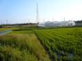 hamamatsufutagawa0113.jpg