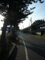 hamamatsufutagawa0114.jpg