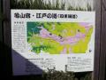 kameyamaminakuchi0015.jpg