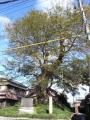 kameyamaminakuchi0016.jpg