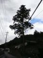 kameyamaminakuchi0101.jpg