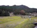 kameyamaminakuchi0103.jpg