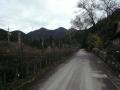 kameyamaminakuchi0110.jpg