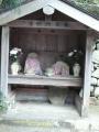 kameyamaminakuchi0119.jpg