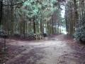 kameyamaminakuchi0150.jpg