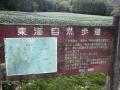 kameyamaminakuchi0156.jpg