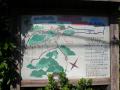 shimada-0089.jpg
