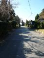 shimada-0090.jpg