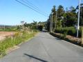 shimada-0105.jpg