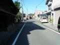 shimada-0124.jpg