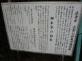 okazakimiya0037.jpg
